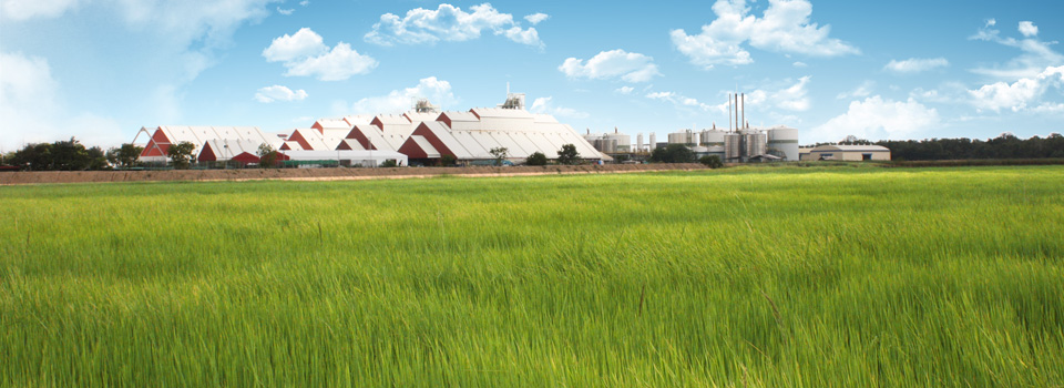 “Strong commitment to environmental protection and sustainable”