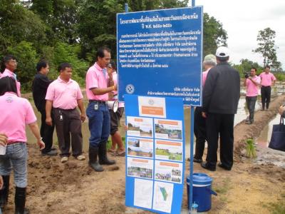 Hommali 105 Rice was grown on the 0.4 acre salinity land for demonstration